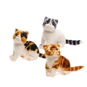 Gato